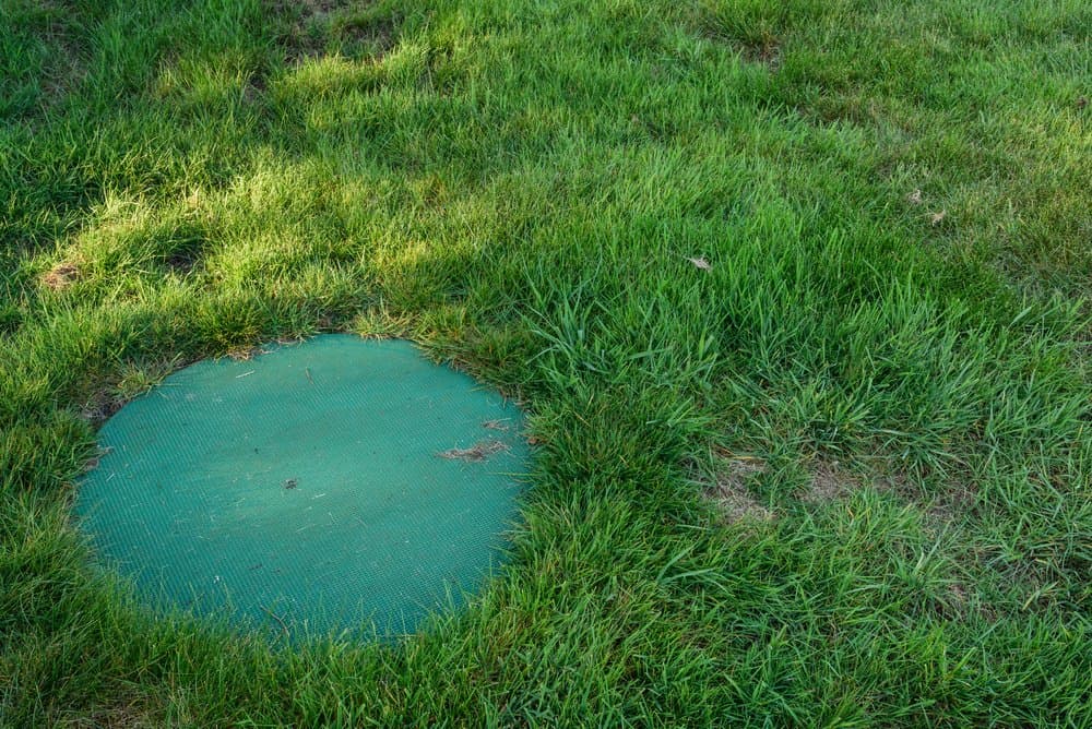 Septic system access lid in a residential backyard